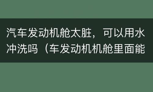 汽车发动机舱太脏，可以用水冲洗吗（车发动机机舱里面能用水冲洗吗）