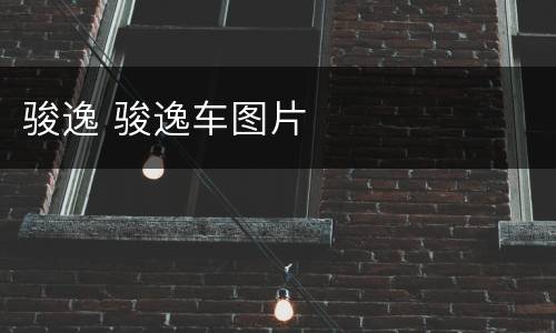骏逸 骏逸车图片