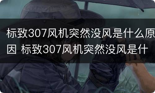 标致307风机突然没风是什么原因 标致307风机突然没风是什么原因呢