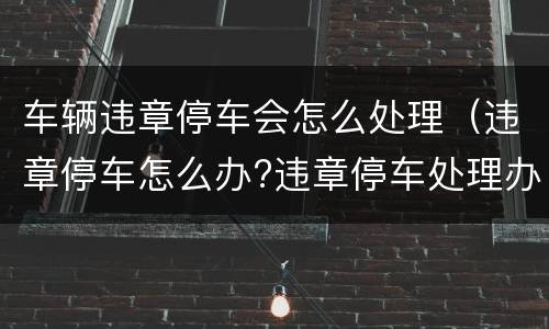 车辆违章停车会怎么处理（违章停车怎么办?违章停车处理办法介绍）