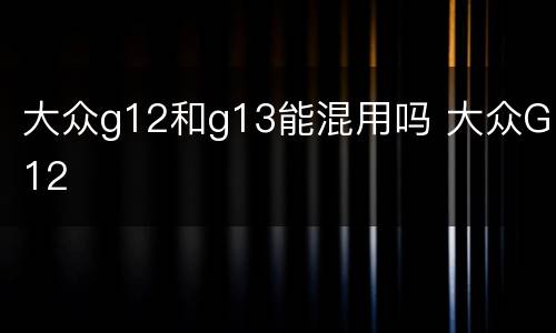 大众g12和g13能混用吗 大众G12
