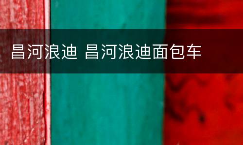 昌河浪迪 昌河浪迪面包车