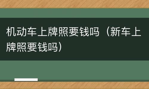 机动车上牌照要钱吗（新车上牌照要钱吗）