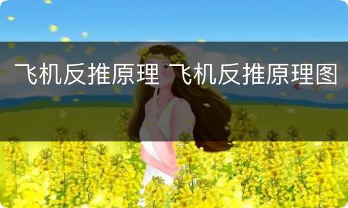 飞机反推原理 飞机反推原理图