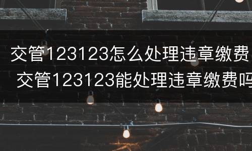交管123123怎么处理违章缴费 交管123123能处理违章缴费吗