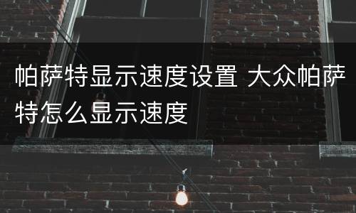 帕萨特显示速度设置 大众帕萨特怎么显示速度