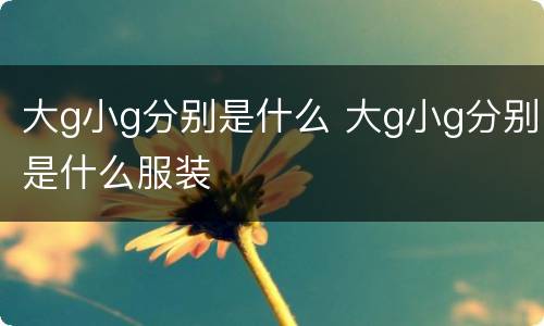 大g小g分别是什么 大g小g分别是什么服装