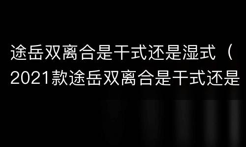 途岳双离合是干式还是湿式（2021款途岳双离合是干式还是湿式）