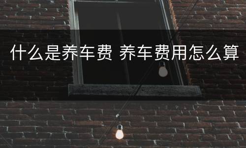 什么是养车费 养车费用怎么算