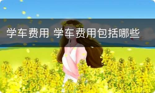 学车费用 学车费用包括哪些