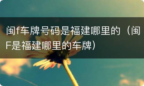 闽f车牌号码是福建哪里的（闽F是福建哪里的车牌）