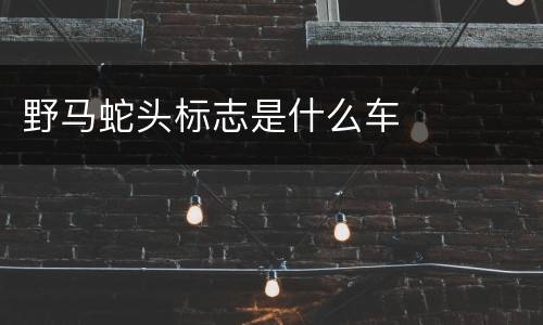 野马蛇头标志是什么车