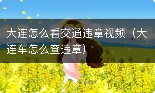 大连怎么看交通违章视频（大连车怎么查违章）