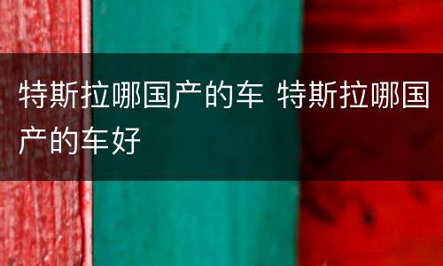 特斯拉哪国产的车 特斯拉哪国产的车好