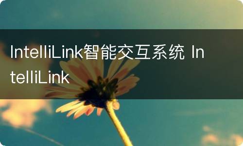 IntelliLink智能交互系统 IntelliLink