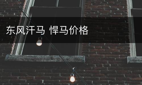 东风汗马 悍马价格