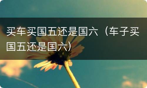 买车买国五还是国六（车子买国五还是国六）