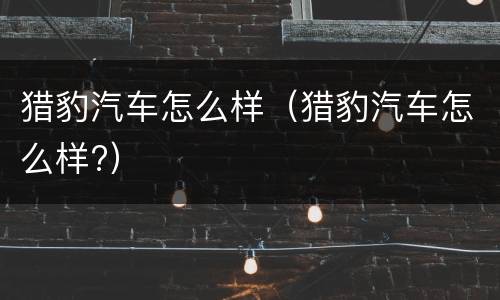 猎豹汽车怎么样（猎豹汽车怎么样?）