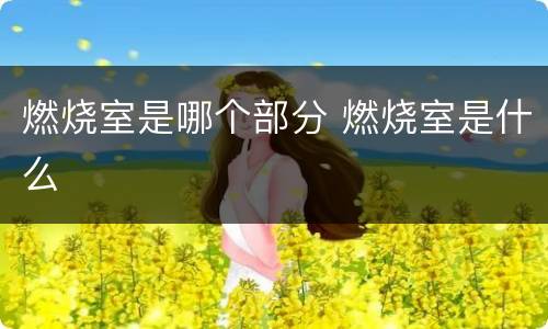 燃烧室是哪个部分 燃烧室是什么
