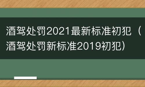 酒驾处罚2021最新标准初犯（酒驾处罚新标准2019初犯）