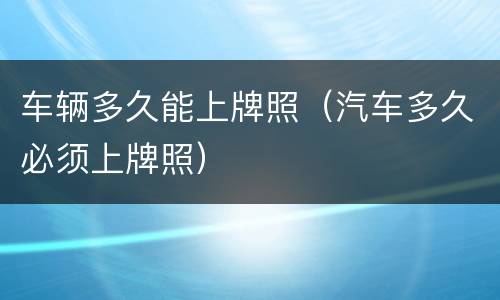 车辆多久能上牌照（汽车多久必须上牌照）