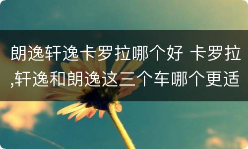 朗逸轩逸卡罗拉哪个好 卡罗拉,轩逸和朗逸这三个车哪个更适合新人开