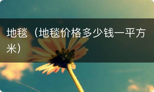 地毯（地毯价格多少钱一平方米）