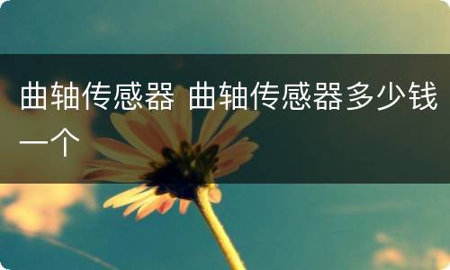 曲轴传感器 曲轴传感器多少钱一个
