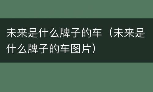 未来是什么牌子的车（未来是什么牌子的车图片）
