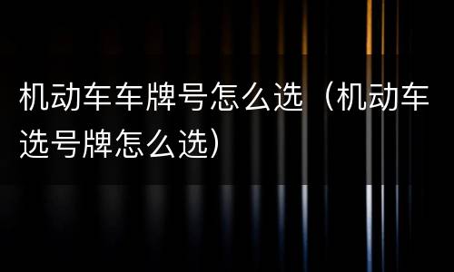 机动车车牌号怎么选（机动车选号牌怎么选）