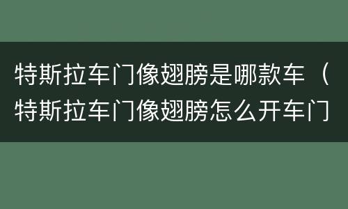 特斯拉车门像翅膀是哪款车（特斯拉车门像翅膀怎么开车门）