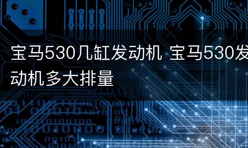 宝马530几缸发动机 宝马530发动机多大排量