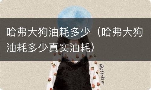 哈弗大狗油耗多少（哈弗大狗油耗多少真实油耗）
