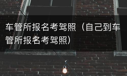 车管所报名考驾照（自己到车管所报名考驾照）