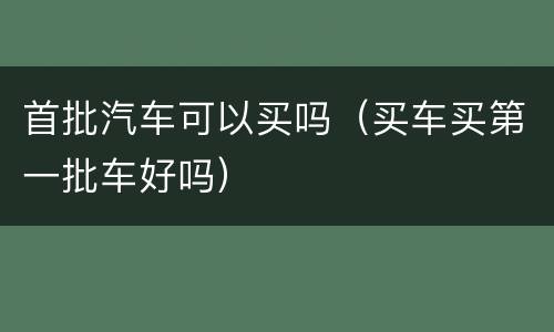首批汽车可以买吗（买车买第一批车好吗）