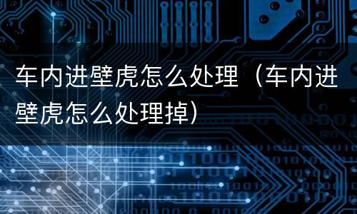 车内进壁虎怎么处理（车内进壁虎怎么处理掉）