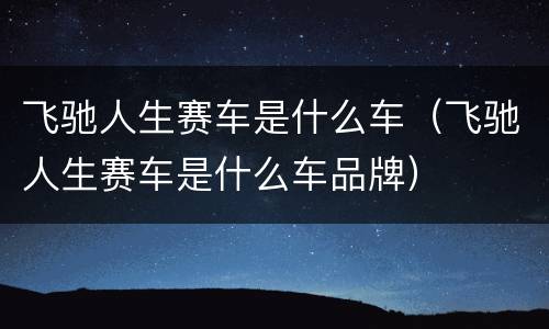 飞驰人生赛车是什么车（飞驰人生赛车是什么车品牌）