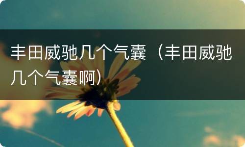丰田威驰几个气囊（丰田威驰几个气囊啊）