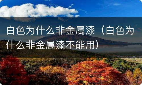 白色为什么非金属漆（白色为什么非金属漆不能用）