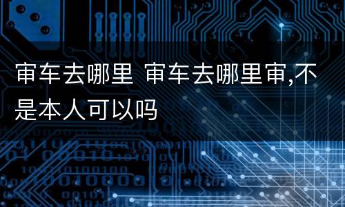审车去哪里 审车去哪里审,不是本人可以吗