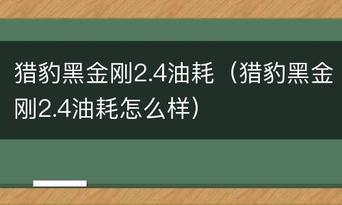 猎豹黑金刚2.4油耗（猎豹黑金刚2.4油耗怎么样）