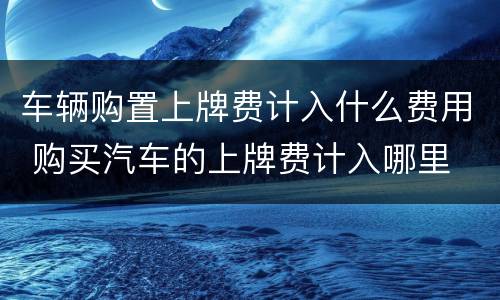 车辆购置上牌费计入什么费用 购买汽车的上牌费计入哪里