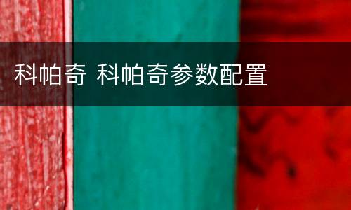 科帕奇 科帕奇参数配置