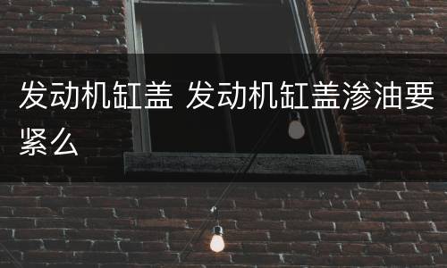 发动机缸盖 发动机缸盖渗油要紧么