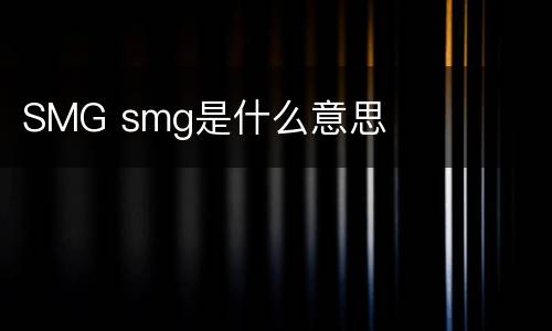 SMG smg是什么意思