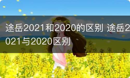 途岳2021和2020的区别 途岳2021与2020区别