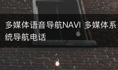 多媒体语音导航NAVI 多媒体系统导航电话