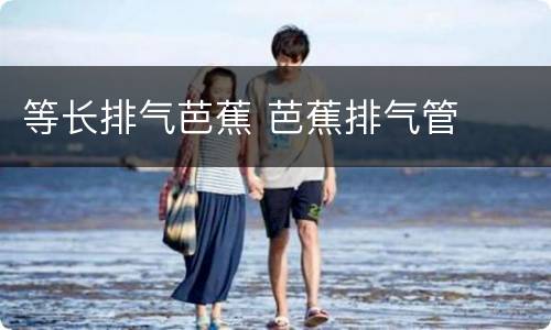 等长排气芭蕉 芭蕉排气管