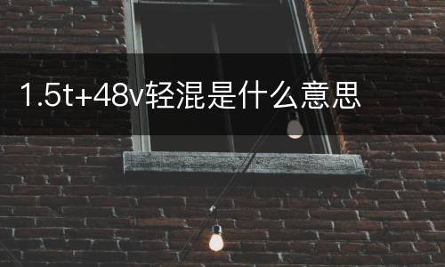 1.5t+48v轻混是什么意思