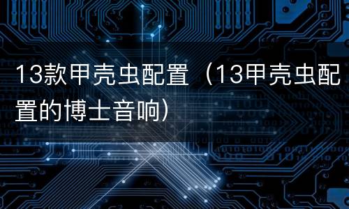 13款甲壳虫配置（13甲壳虫配置的博士音响）